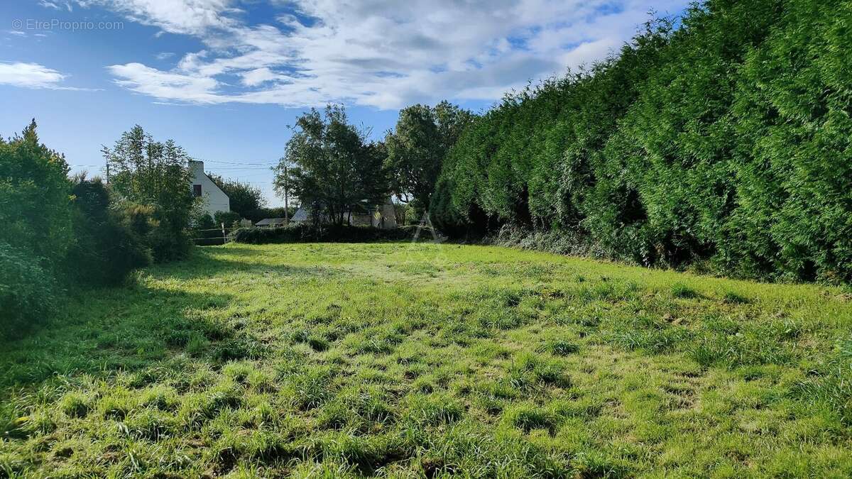 Terrain à MOELAN-SUR-MER