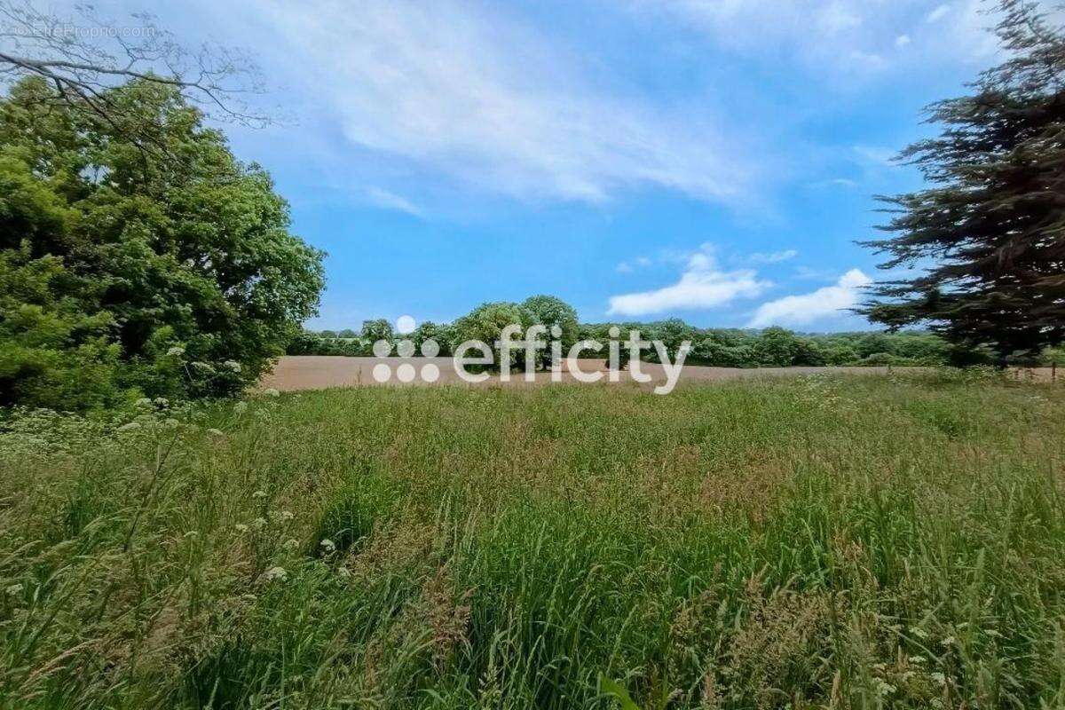 Maison à MAUVES-SUR-LOIRE
