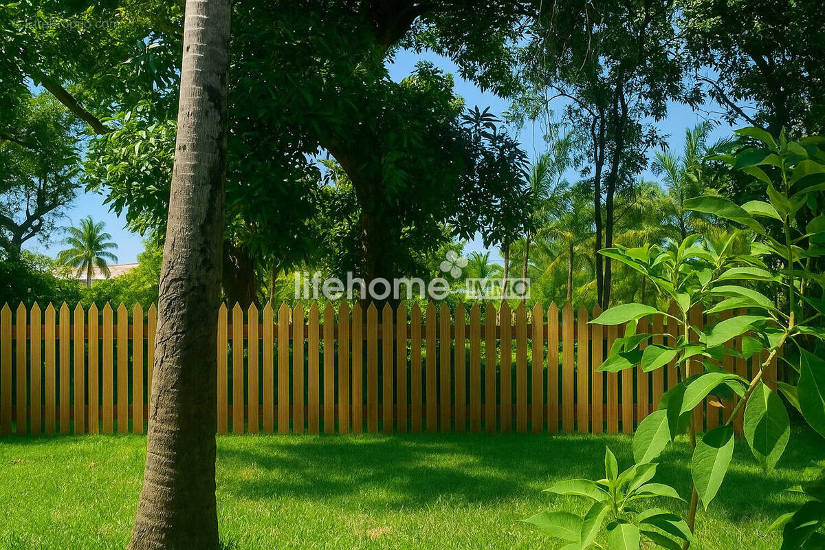 IA - Terrain à BRAS-PANON