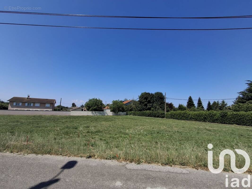 Photo 1 - Terrain à BEAUREPAIRE