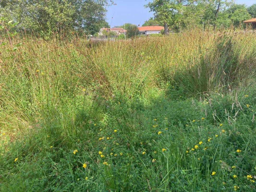 Terrain à BISCARROSSE