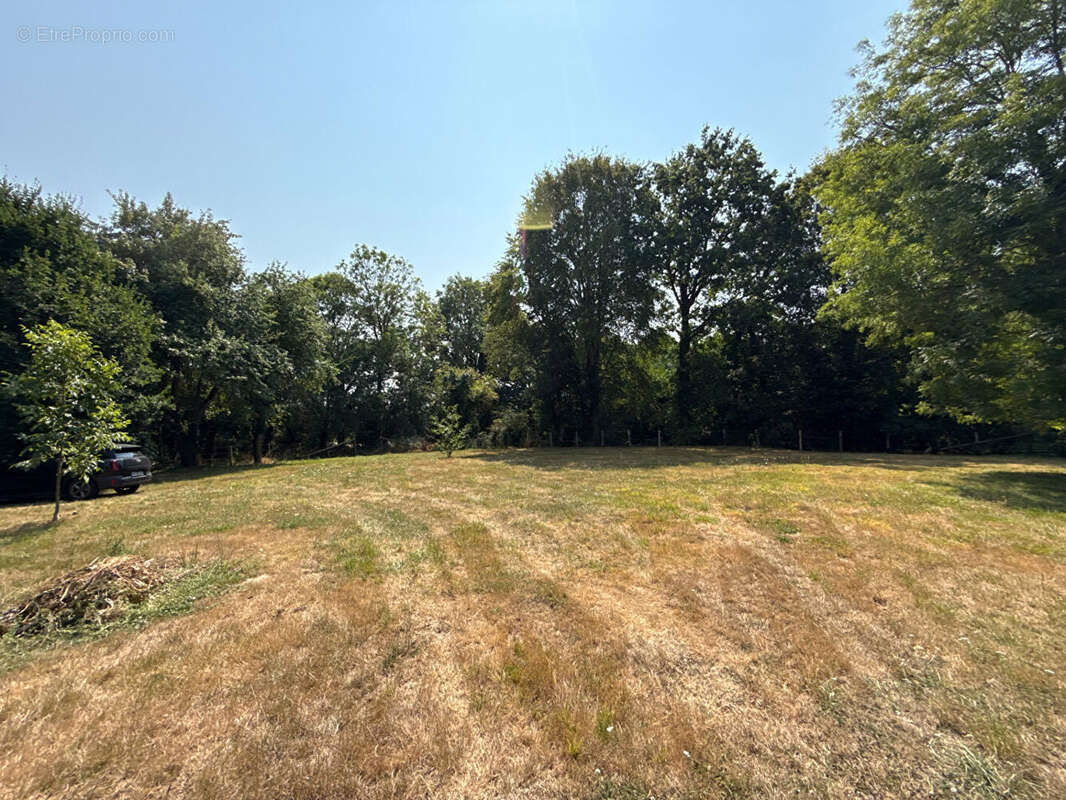 Demeure sur 4930m² entre belleme et mortagne au perche - photo 7