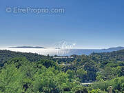 Terrain à LE LAVANDOU