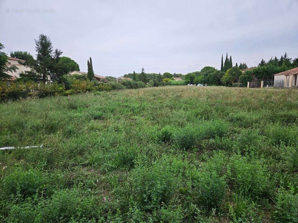 Terrain 600 m² à Fontvieille  - photo 5
