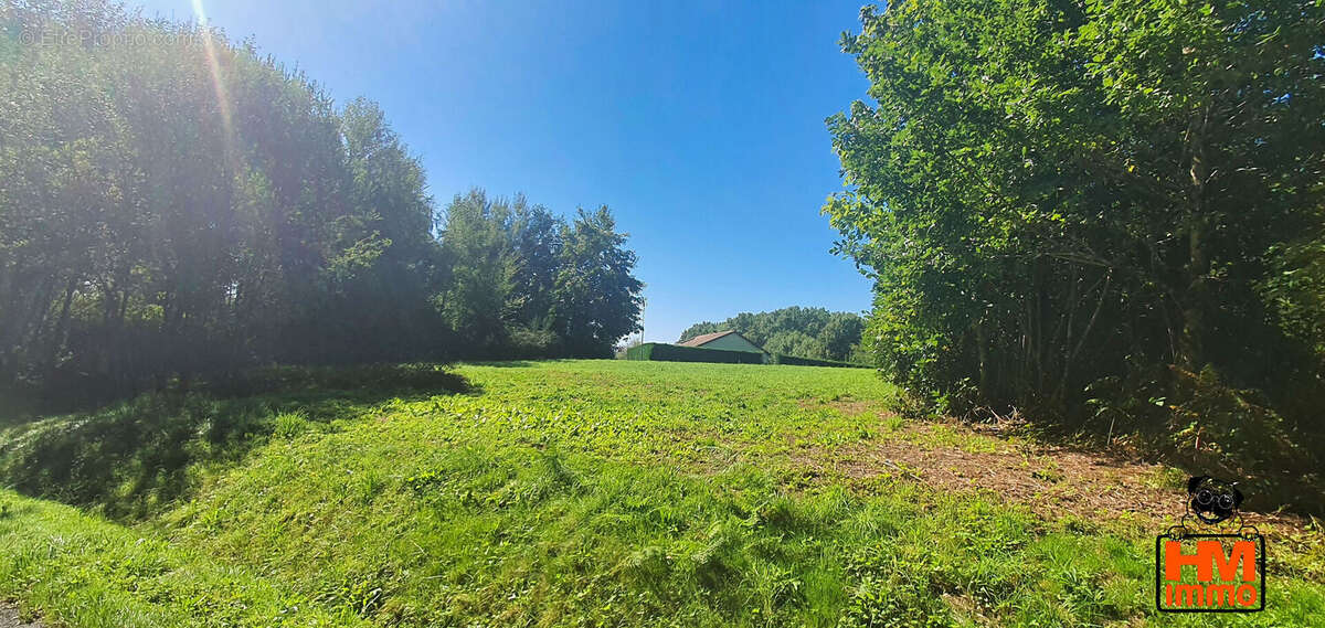 Terrain à LADIGNAC-LE-LONG