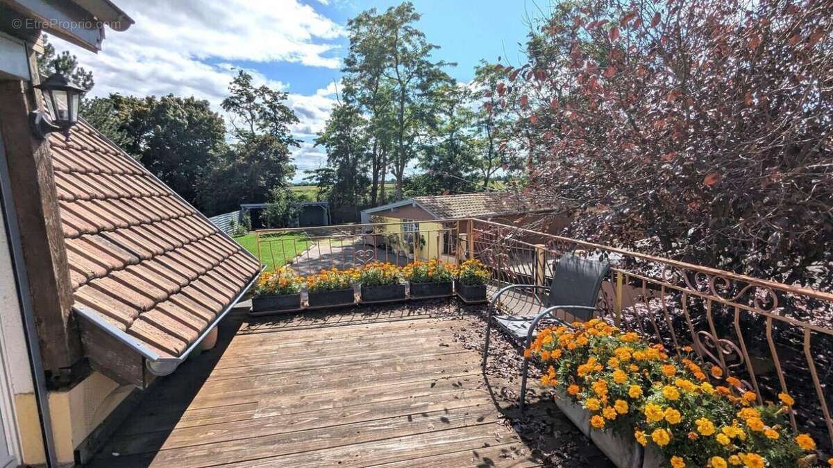 Maison à ALGOLSHEIM