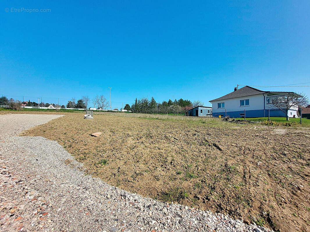 Terrain à SCHNERSHEIM