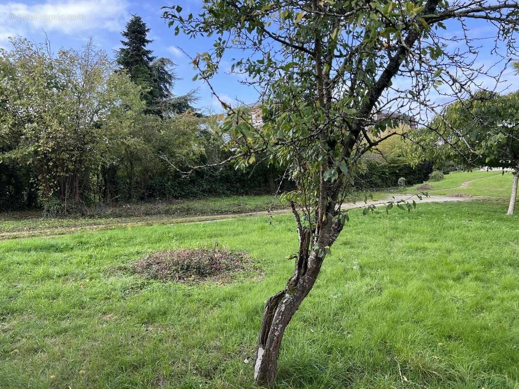 Terrain à SAINT-GEORGES-SUR-BAULCHE