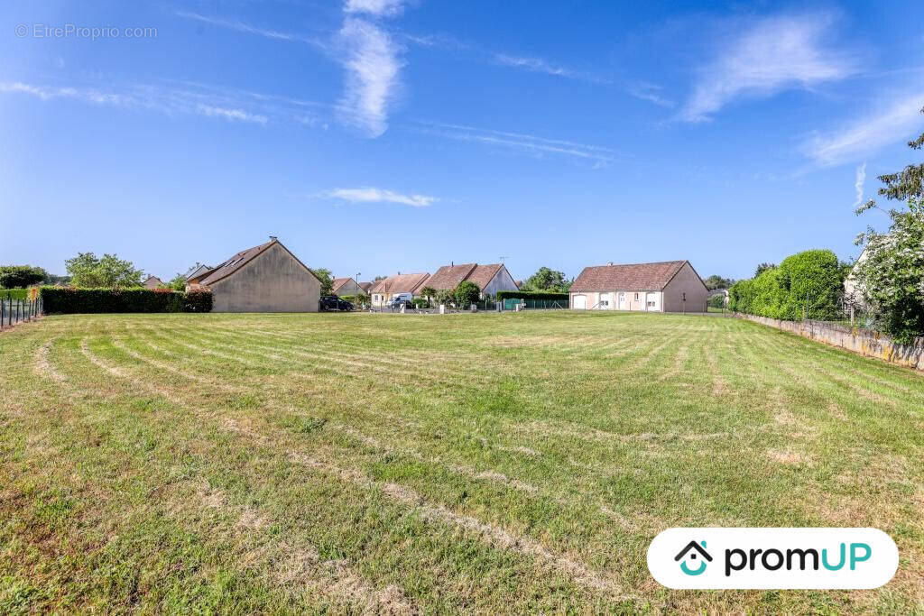 Terrain à MONCE-EN-BELIN