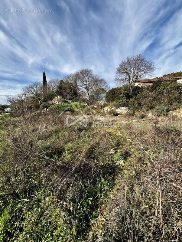 Terrain à MONTFORT-SUR-ARGENS