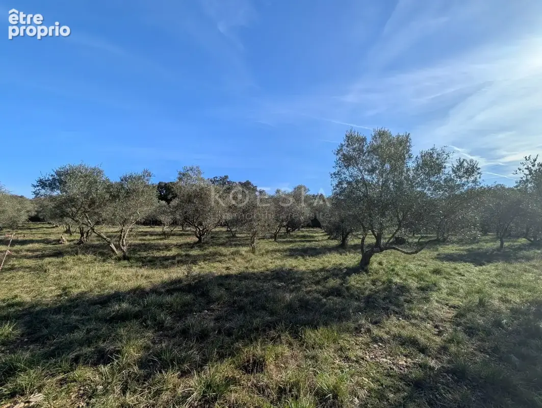 Terrain 2 000 m² à vendre à Sauve (30610) - photo 3