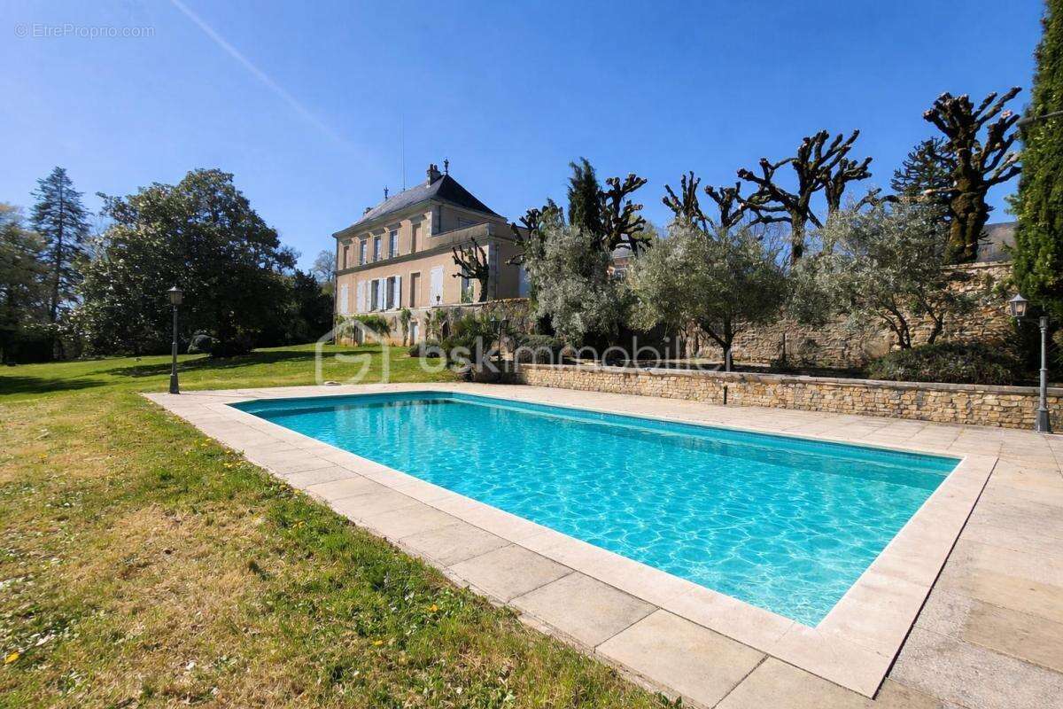 Magnifique Chateau du XIX éme , dépendances, Maison de gardien/gite, parc arboré de 9,5 hectares - photo 2