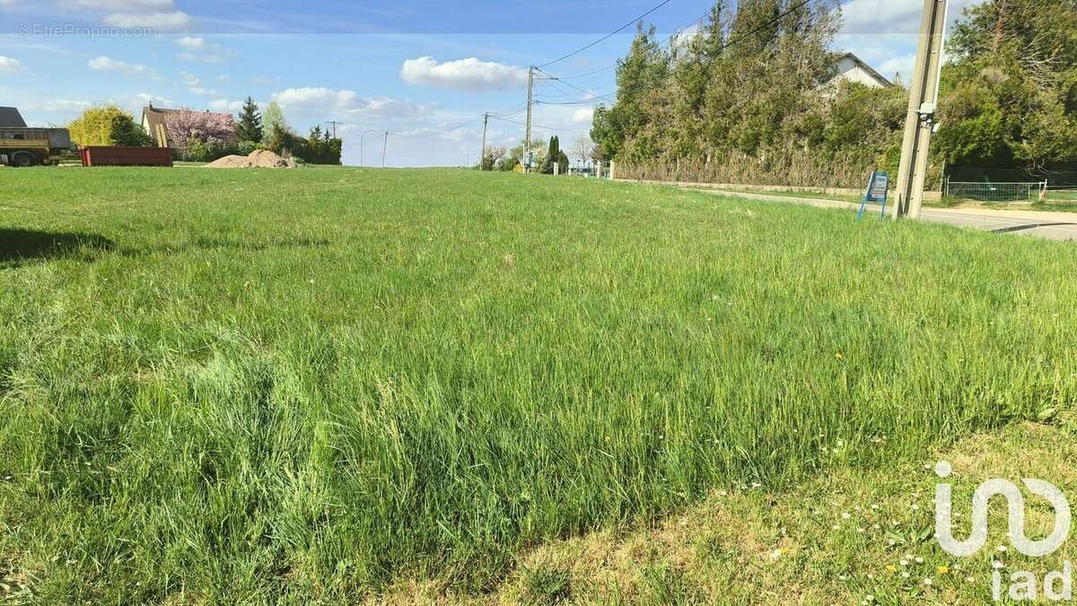 Photo 5 - Terrain à MONTGUEUX