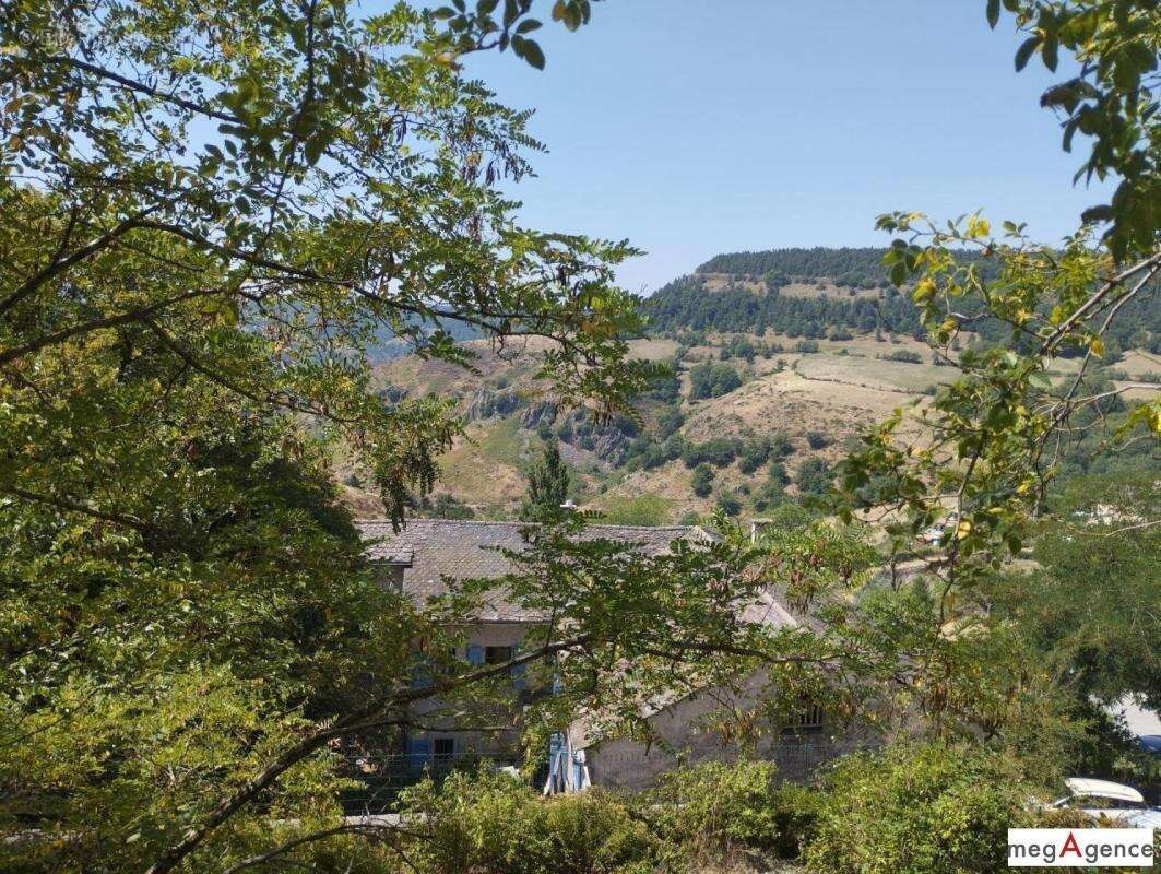 Barre-des-Cévennes – Maison 2 ch. + terrain - photo 8