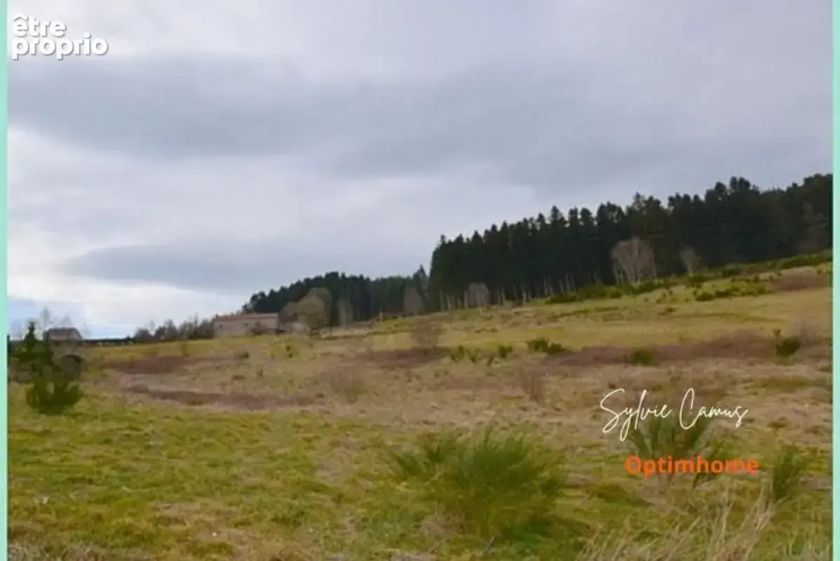 Terrain à vendre de 1 074,00 m² DUNIERES (43)-Bien situé et vue dégagée - photo 2