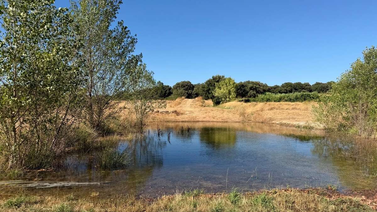 Terrain avec Mazet à vendre  LE POUGET (34), GIGNAC - photo 7