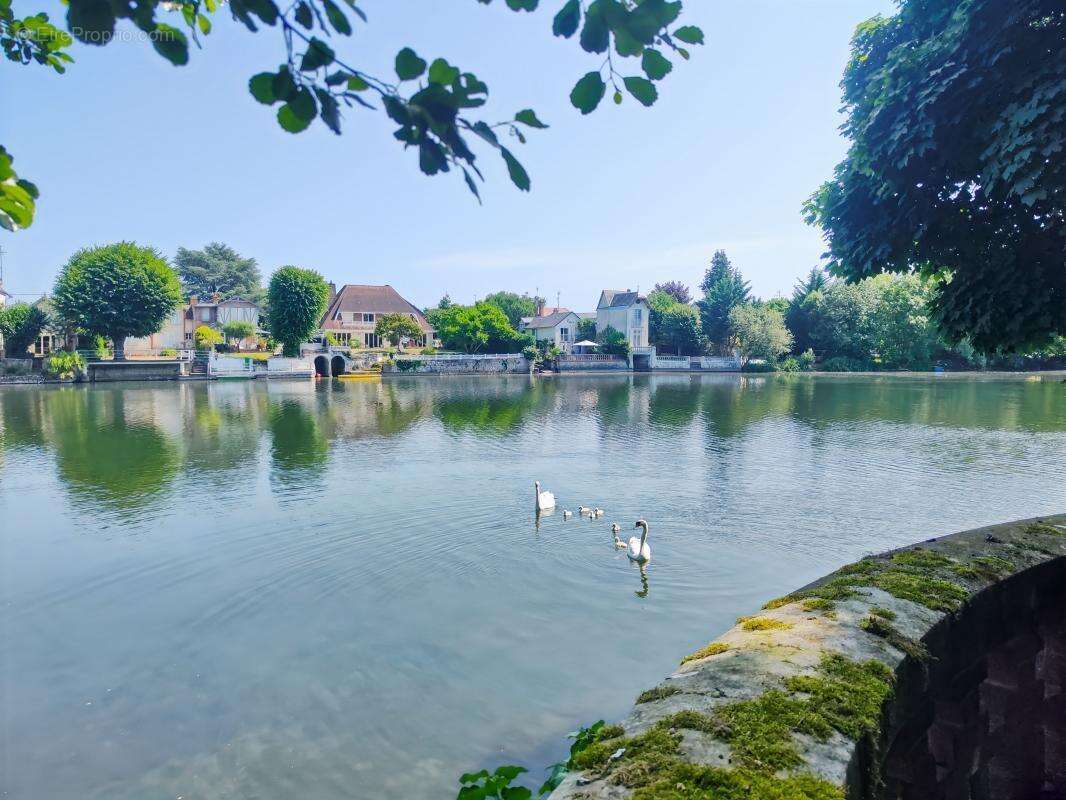 Un Quotidien Hors du Commun sur les bords du Loiret - photo 3