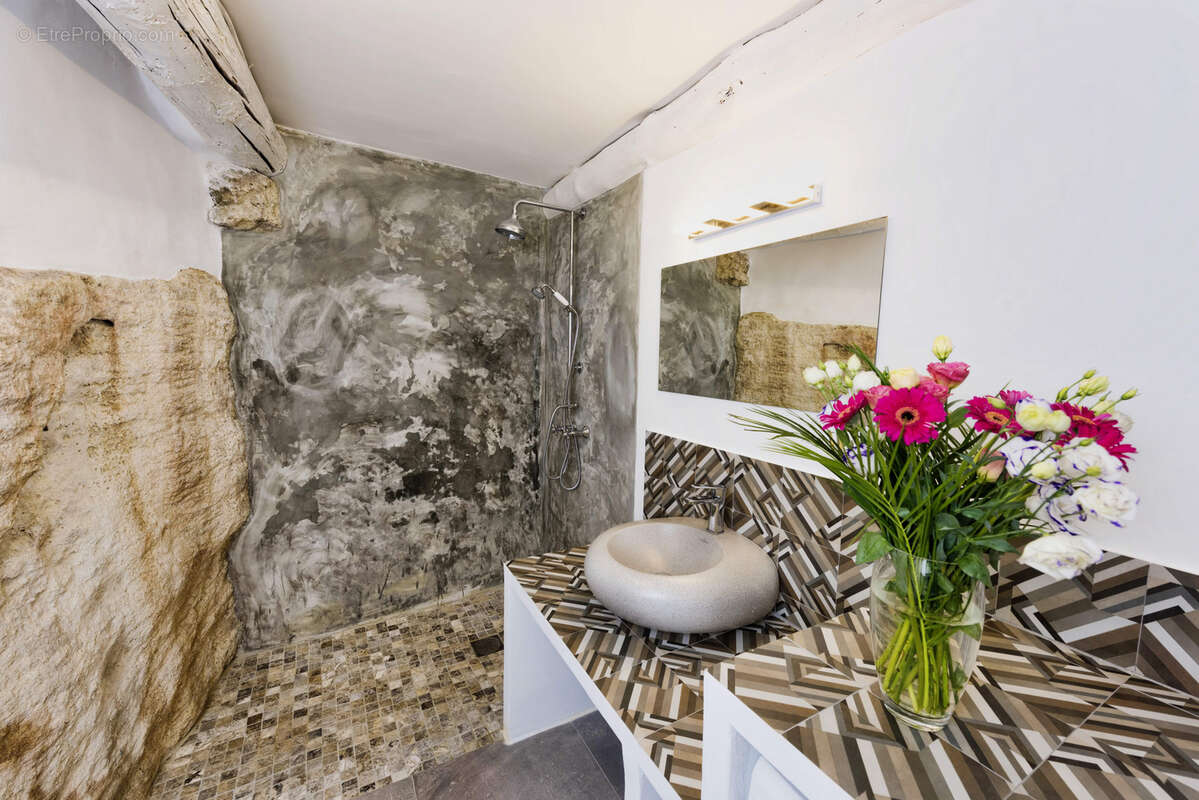 Propriete 350 m 2 - photo 12