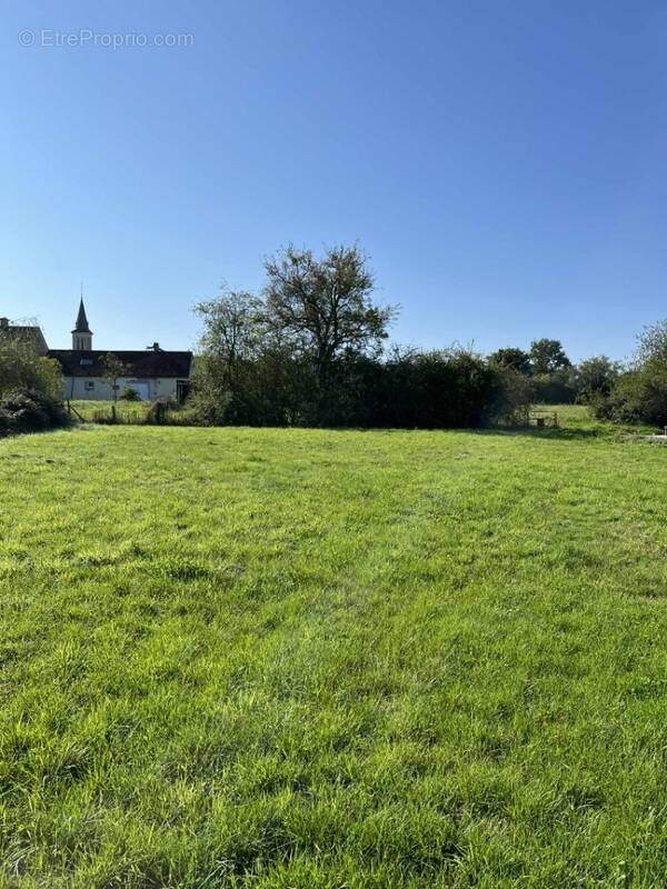 Terrain à VILLAINES-LA-CARELLE