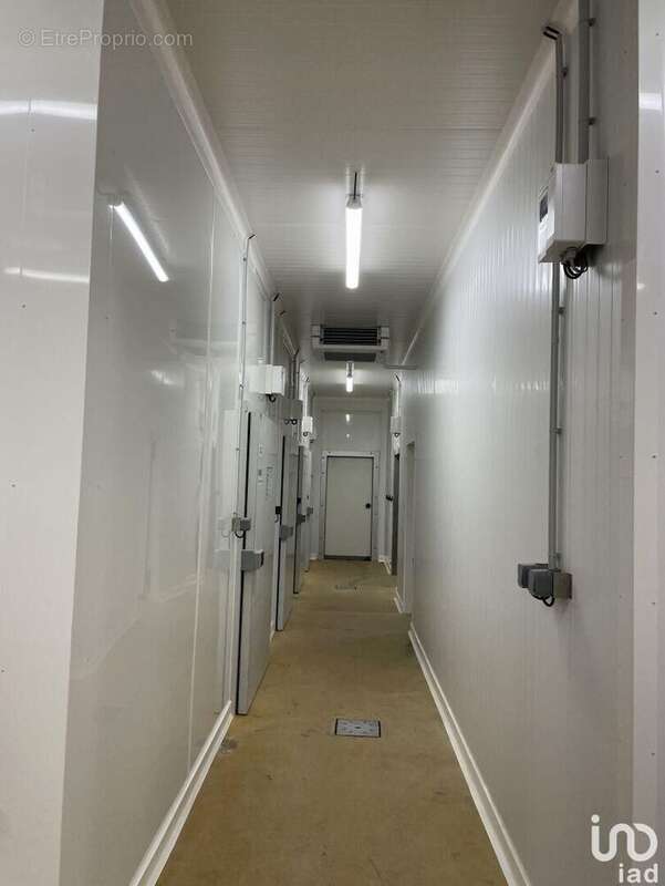 Photo 6 - Commerce à LANNEMEZAN