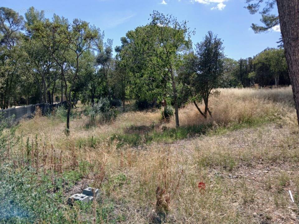 Terrain à COURNONSEC