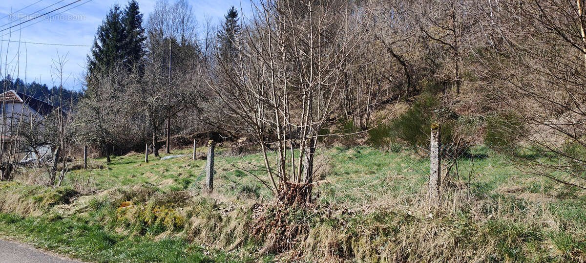 Champenay, commune de Plaine, terrain de 4.96 ares, au calme et aux abords de la forêt. - photo 3