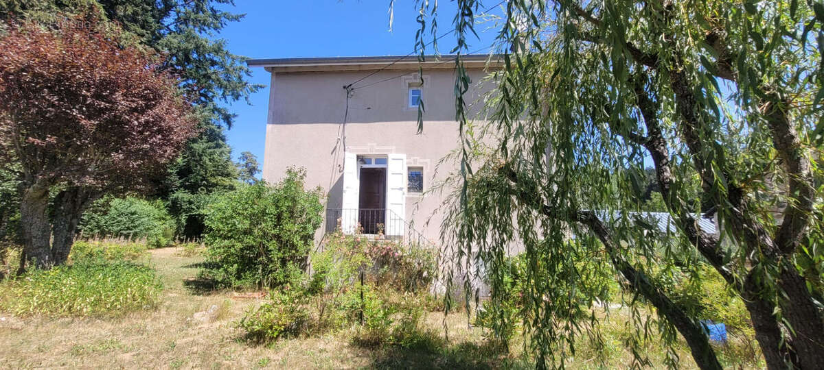 Maison Le Chambon Sur Lignon 7 pièce(s) 182 m2 - photo 10
