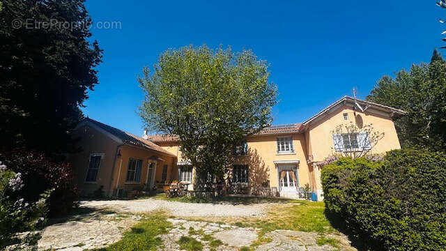 Maison à VIOLES