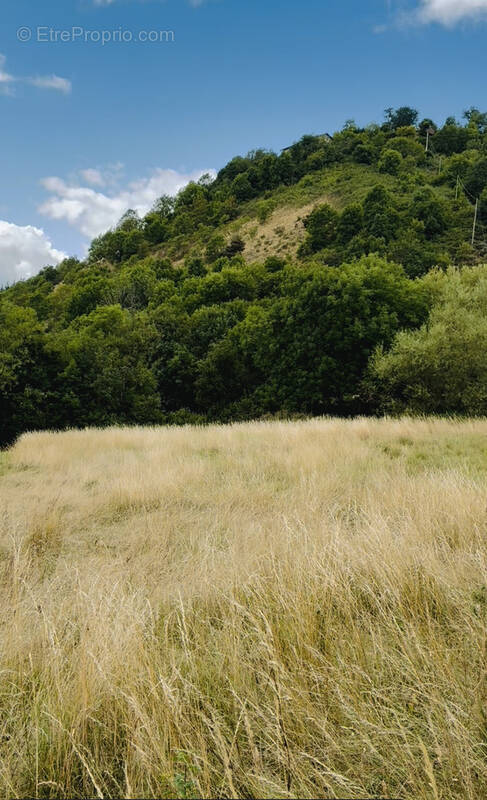 Terrain à YSSINGEAUX