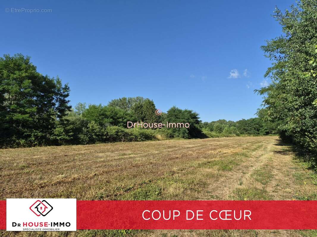 Terrain 23 052 m² à vendre à Chichery (89400) - photo 17