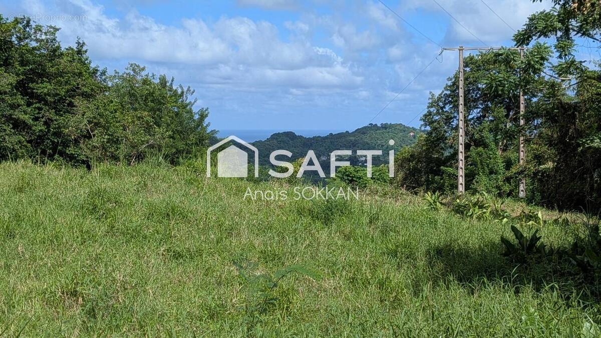 Photo 1 - Terrain à RIVIERE-PILOTE