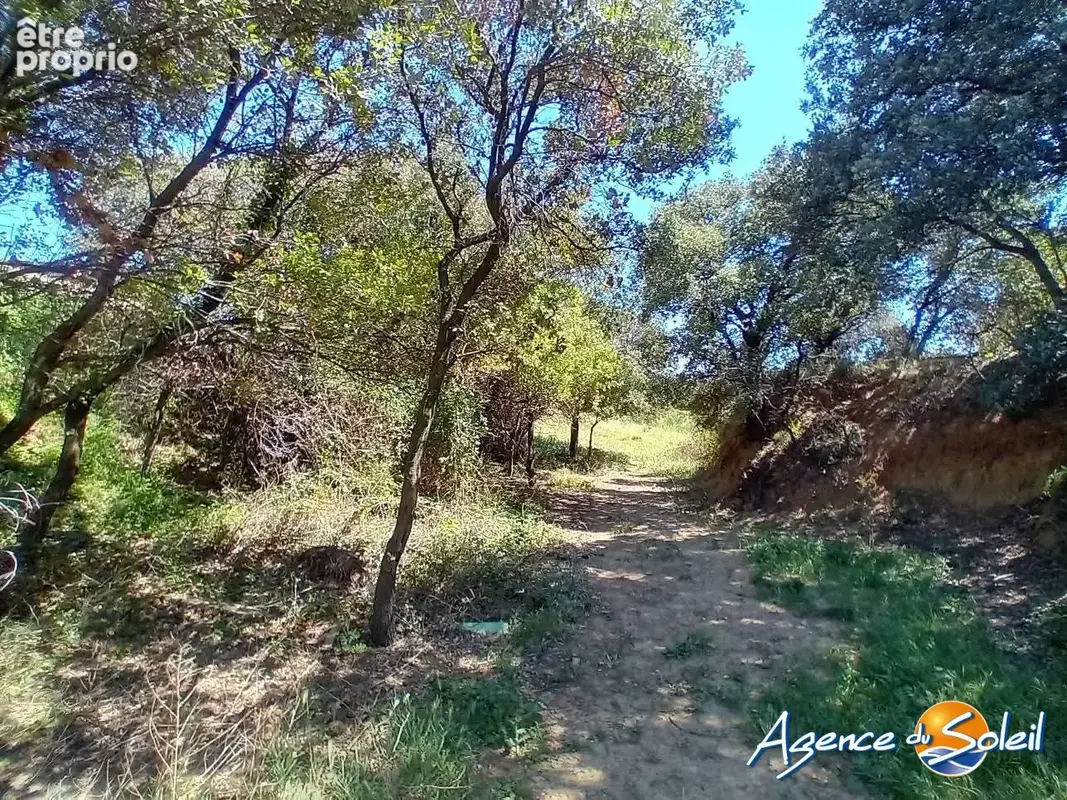 Terrain 16 830 m² à vendre à Paraza (11200) - photo 3