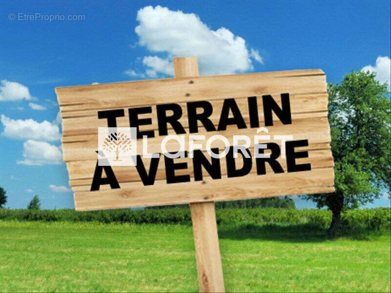 Terrain Milly La Foret 530 m2 - photo 2