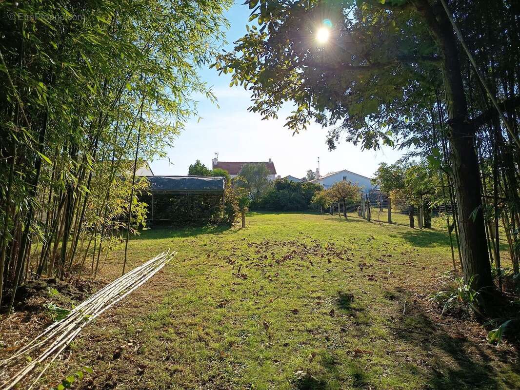 Maison à SALLERTAINE