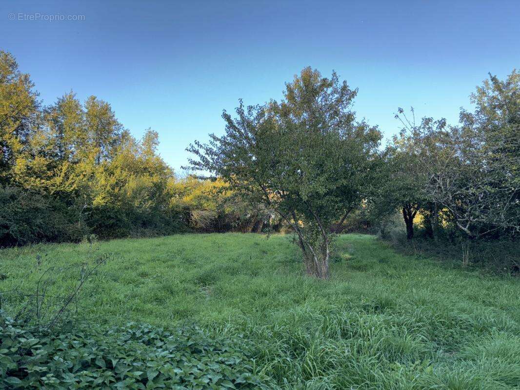 Maison à SAINT-GOURSON