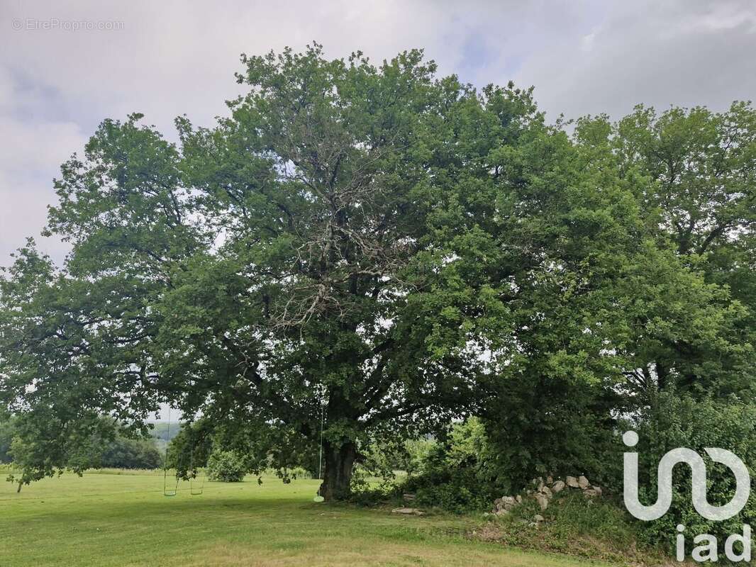 Photo 5 - Maison à COUBEYRAC