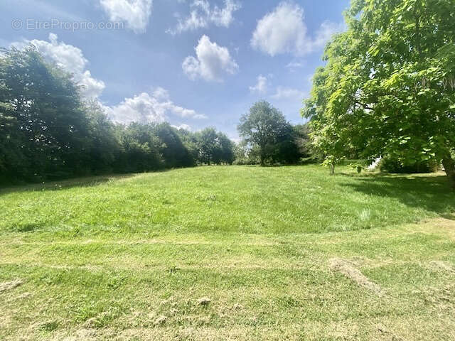 Maison de plain-pied avec un gîte, grand terrain, piscine à 20 minutes au Sud d'Auch - photo 17
