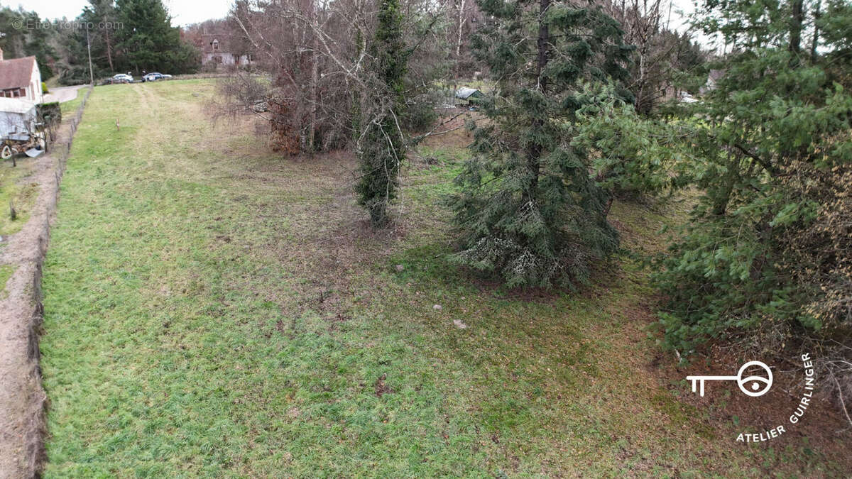 Terrain à MONTRIEUX-EN-SOLOGNE