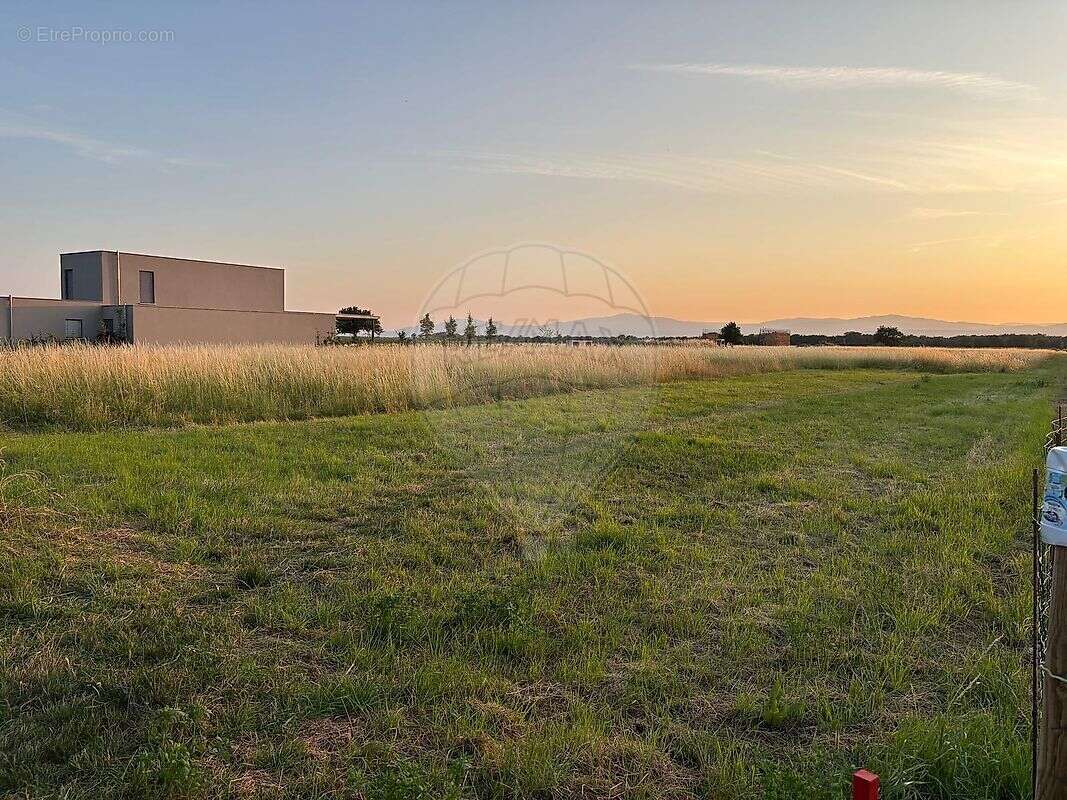 Terrain à DESSENHEIM