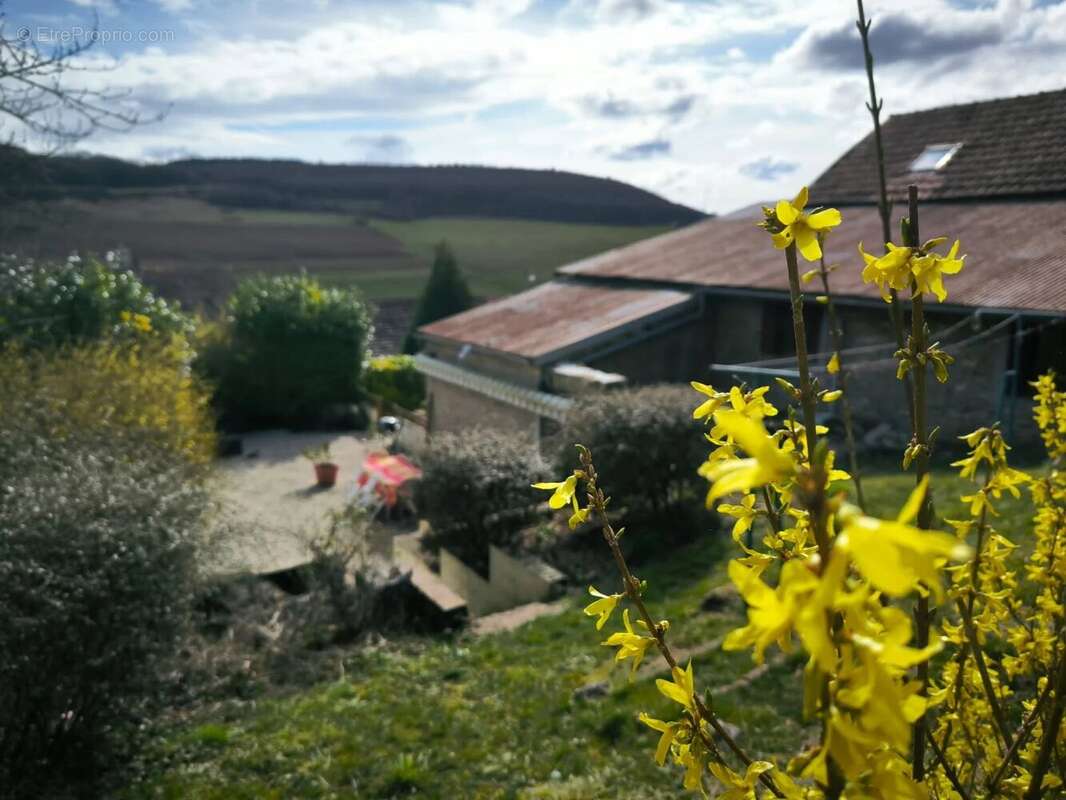 Maison de 143 m2 - photo 4