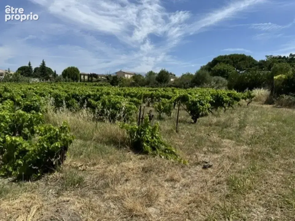 Terrain 927 m² à vendre à Mazan (84380) - photo 2
