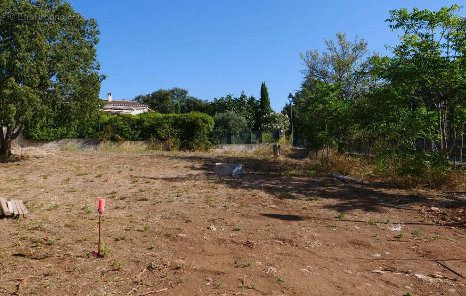 Photo 3 - Terrain à CABRIERES-D&#039;AVIGNON
