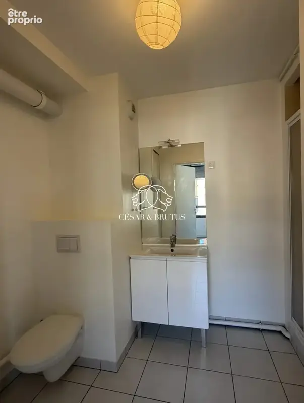 Appartement 1 pièce 20 m² à vendre à Villeurbanne (69100) - photo 4