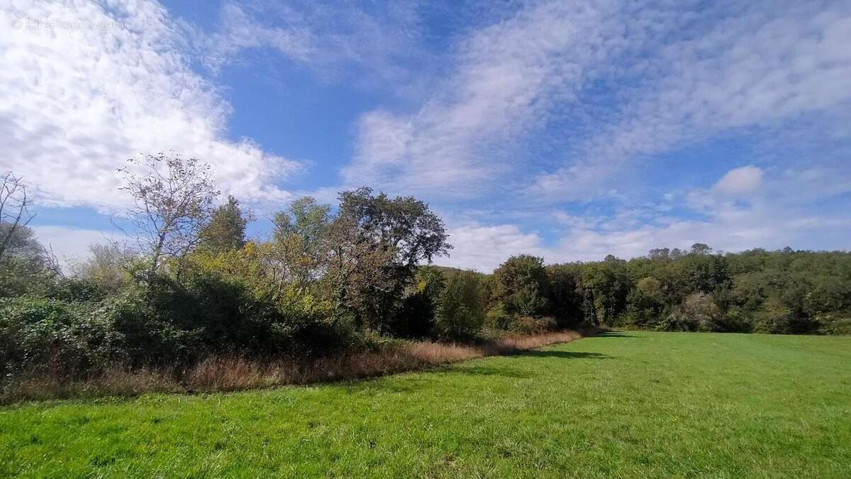 Photo 2 - Terrain à CAILLAC