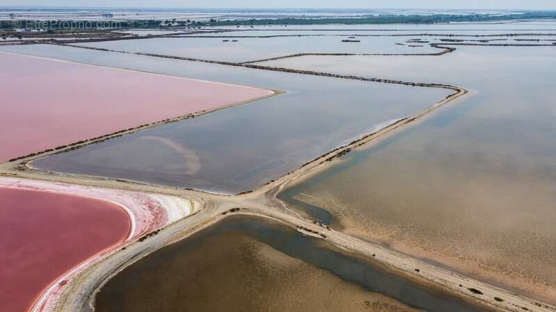 Commerce à LE GRAU-DU-ROI