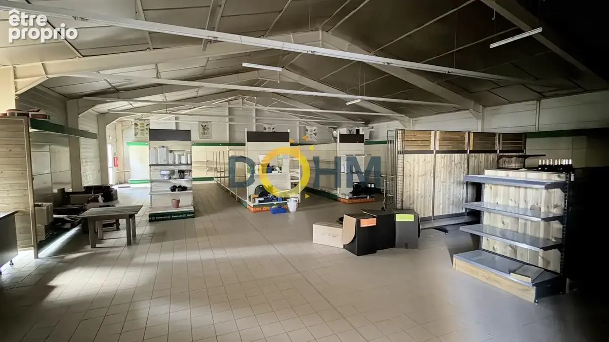 Ensemble immobilier professionnel, local commercial, dépôt, atelier, garage... - photo 13