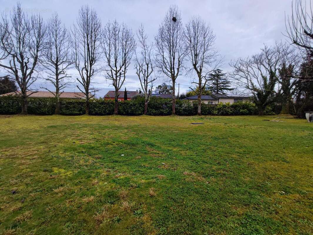 Photo 4 - Terrain à SAINT-MEDARD-EN-JALLES