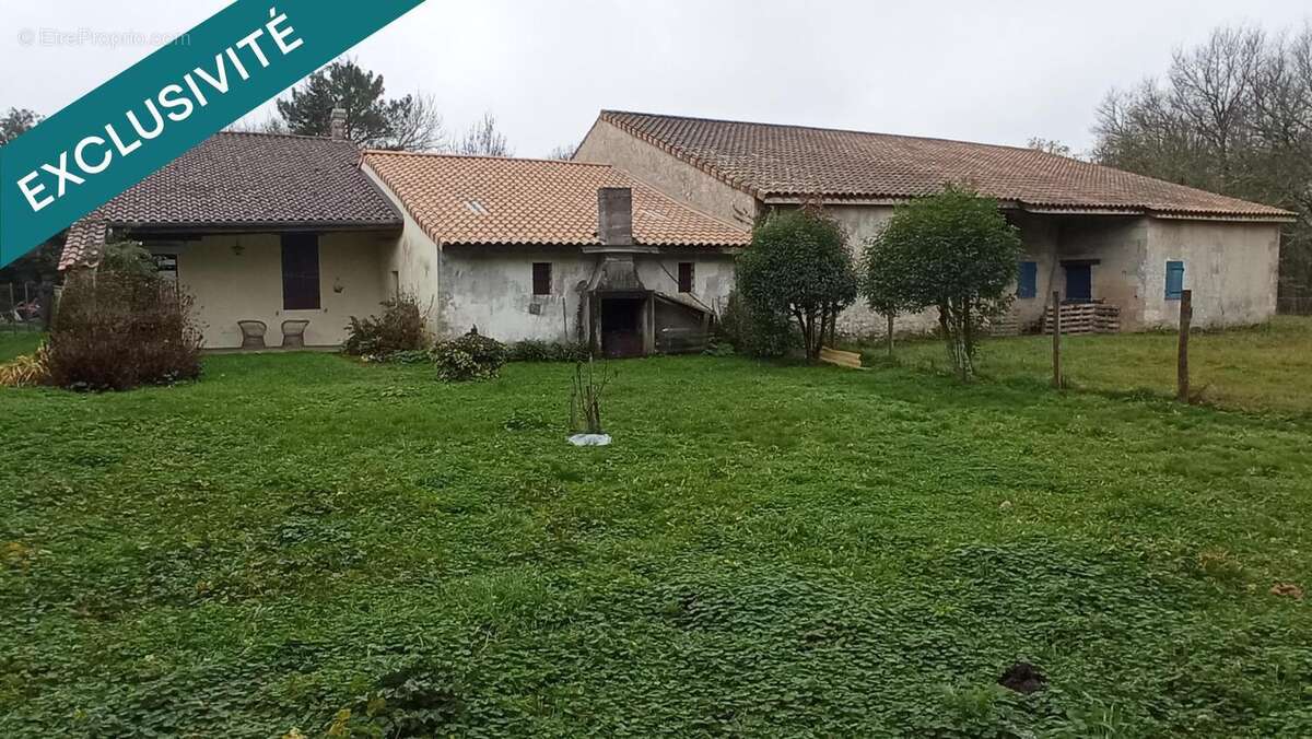 Photo 3 - Maison à MOULIS-EN-MEDOC