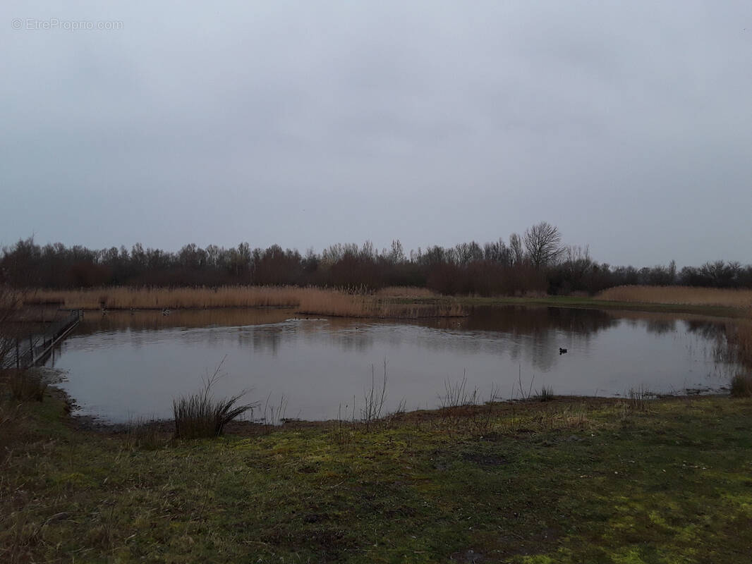 Terrain à SAINT-QUENTIN-EN-TOURMONT
