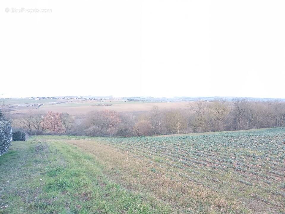 Terrain à MONTBRUN-LAURAGAIS